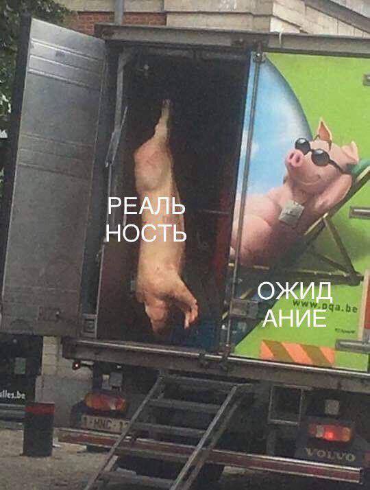 vas РЕАЛЬ НОСТЬ ОЖИД АНИЕ