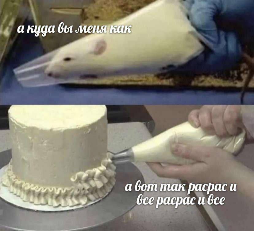 а куда вы менякак. а вот mak pacpac и Gce расрас и