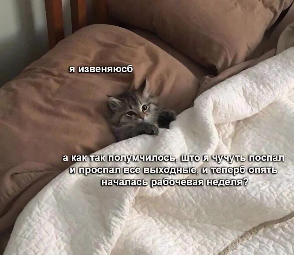 я a? а как так полумчилось? A чучуть` поспал все выходные и. началась, рабоЧевая у a у 4