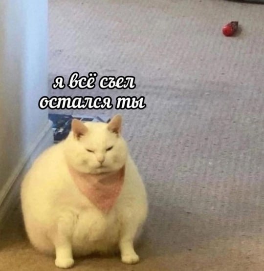 я сгел остался ты 4
