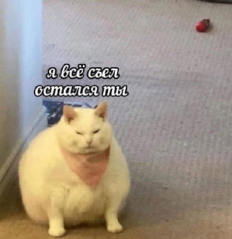 я сгел остался ты 4