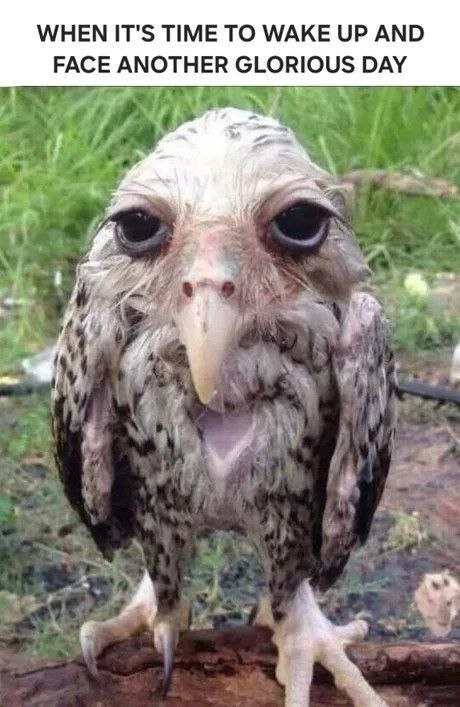 WHEN IT'S TIME ТО WAKE UP AND FACE ANOTHER DAY 7 A А