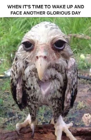 WHEN IT'S TIME ТО WAKE UP AND FACE ANOTHER DAY 7 A А