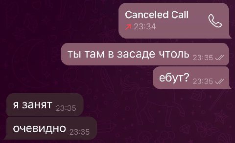 человек блять играет в раст нахуй. важный курица.