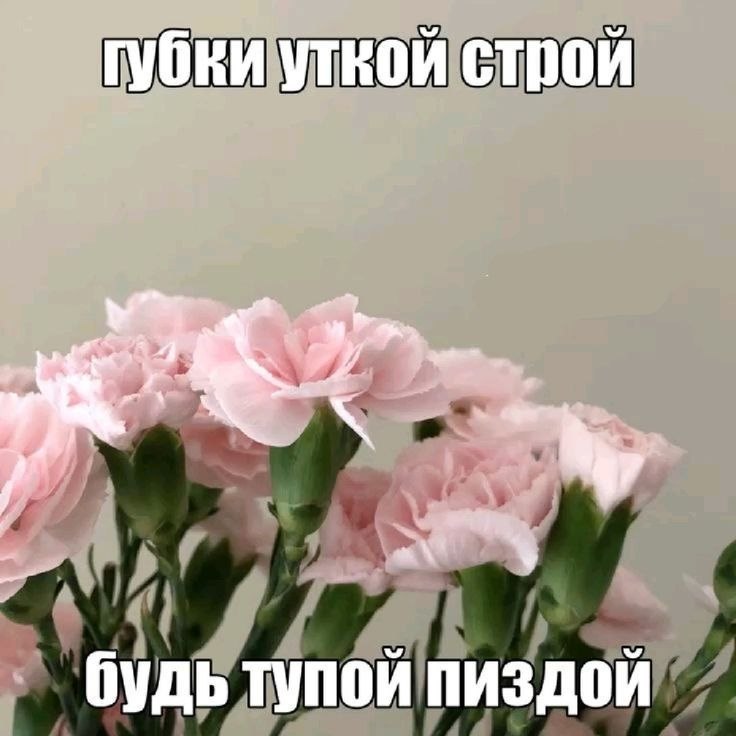 губки уткой строй a\ будь тупой пиздой