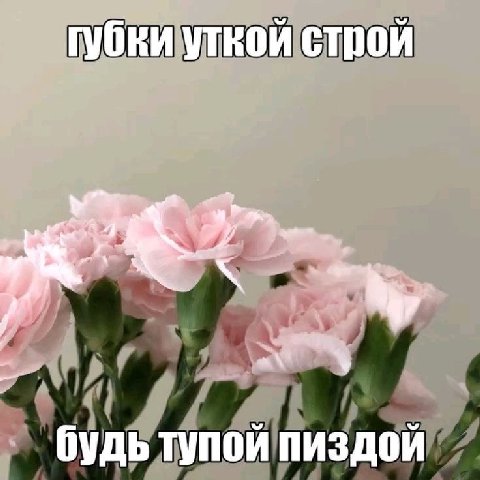 губки уткой строй a\ будь тупой пиздой