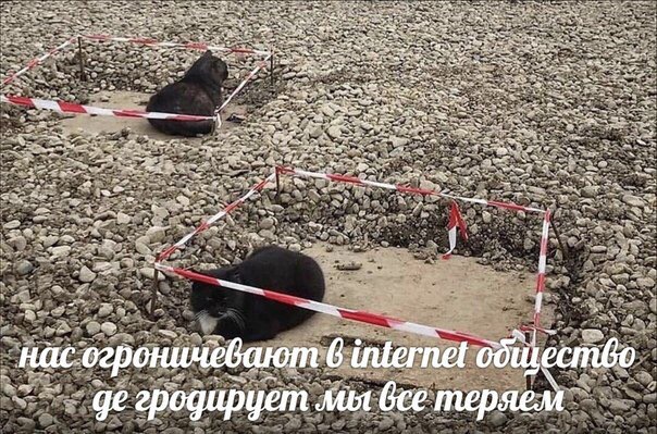 an 2 и` a a a a+ Nin “7 we a A Hac. оничевают 6 internet гродирует мы bce тер