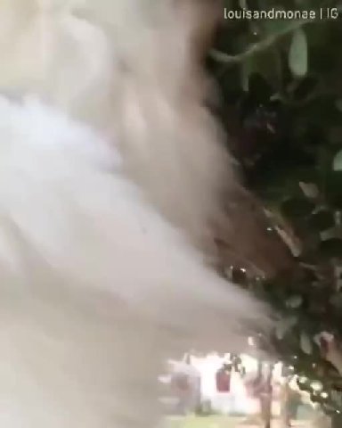 [ош!запдтолае | IG