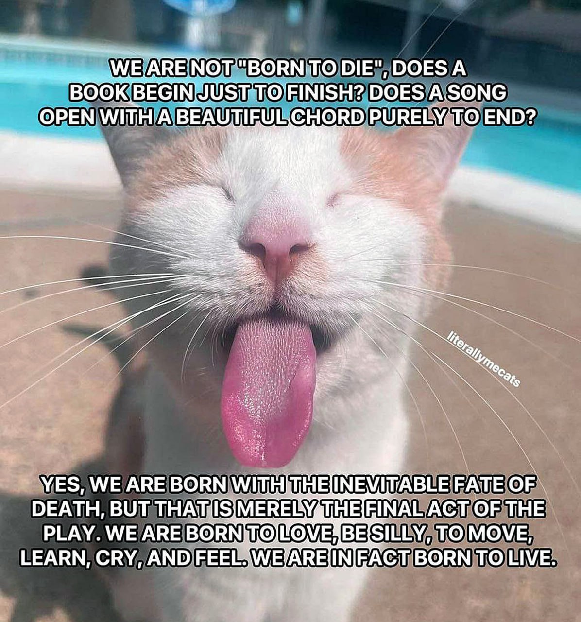 DIE”, DOES А BOO TO'FINISH? DOES OPEN WITH PURELY'TO END? 2 YES, WE ARE BORN WITH FATE OF DEATH, BUT ACT OF THE PLAY. WE ARE BOR OVE IBEISILLY, TO MOVE, LEARN, CRY, AND FACT BORN TO LIVE.