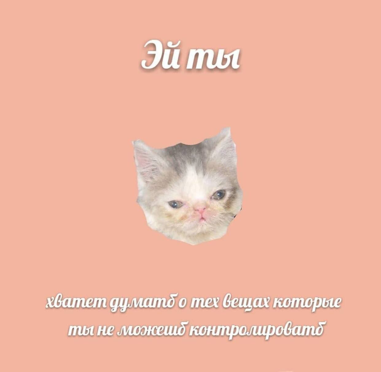 mot xGamem тех вещах которые пил не моэкешд
