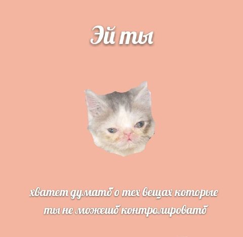 mot xGamem тех вещах которые пил не моэкешд