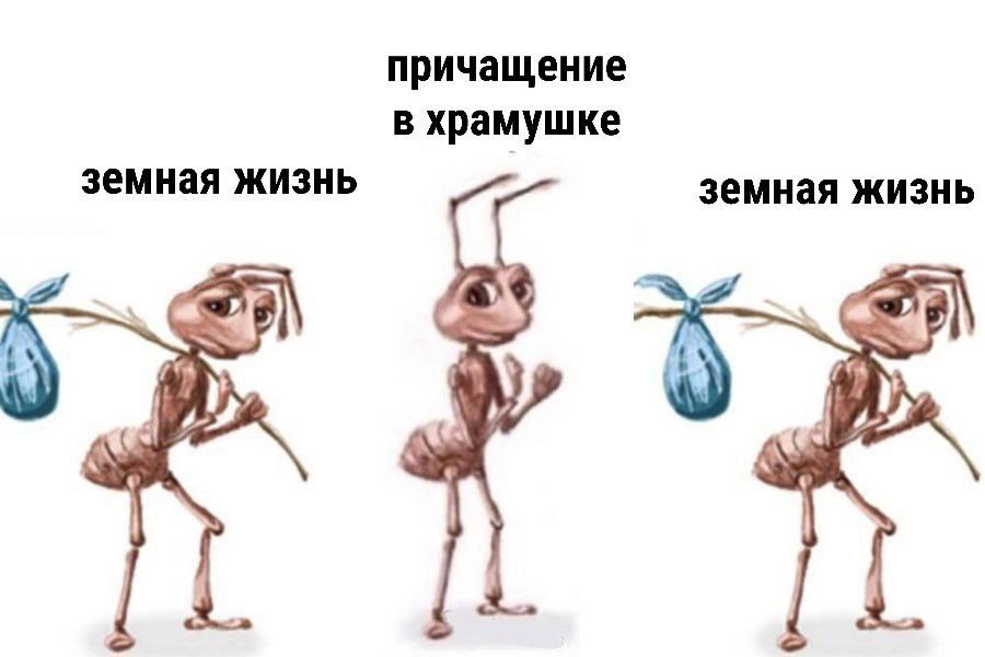 причащение в храмушке земная жизнь земная жизнь