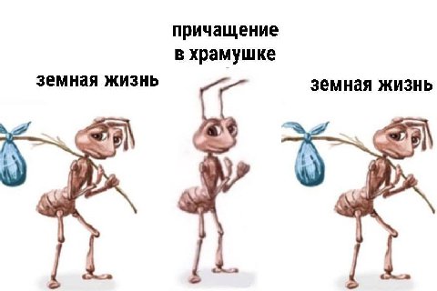 причащение в храмушке земная жизнь земная жизнь