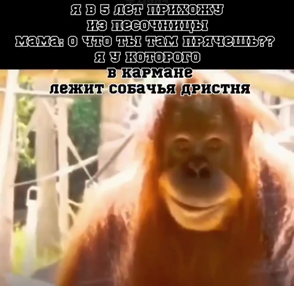 еваылелятрихо ку) изунесочницьт мамазо что ть таметряче!гь 22 и. "в кармане’ : лежит соБАчьядРИСТНЯ зовълелуприхо ну) иззпесочниць! MaMa ORT TOR bIgha Meith Asie il bia изутесочницьт мамазочто ть тама
