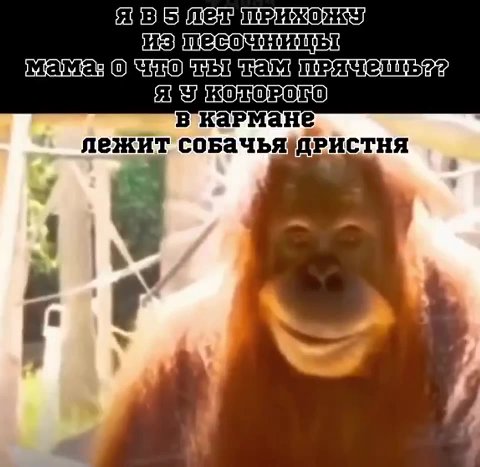 еваылелятрихо ку) изунесочницьт мамазо что ть таметряче!гь 22 и. "в кармане’ : лежит соБАчьядРИСТНЯ зовълелуприхо ну) иззпесочниць! MaMa ORT TOR bIgha Meith Asie il bia изутесочницьт мамазочто ть тама