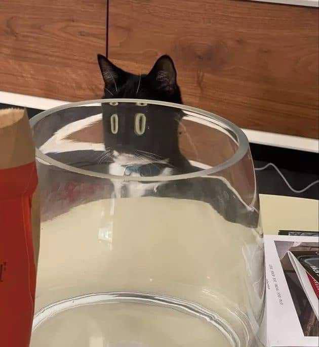 1 у