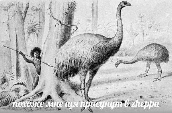 a у 4 у a с (4 A 3 7 у. у к 4 A i 7 4 5” 78