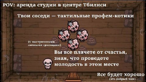POV: аренда студии в центре Тбилиси Твои соседи тактильные профем-котики (С выстроенными личными границами) к Вы все плачете от счастья, зная, что проведете молодость В этом месте Все будет хорошо (эт