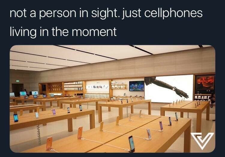 not a person in sight. just сеюпопез living in the moment