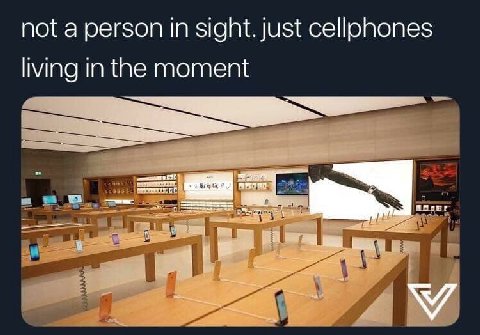not a person in sight. just сеюпопез living in the moment