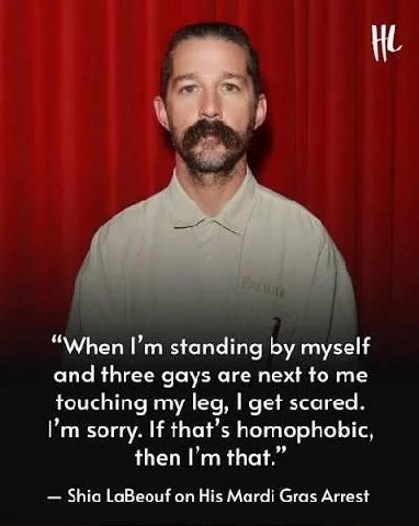 “When standing myself and three gays are next to me touching my leg, get scared. Рип sorry. If that’s homophobic, then that.” Shia LaBeouf on His Mardi Gras Arrest