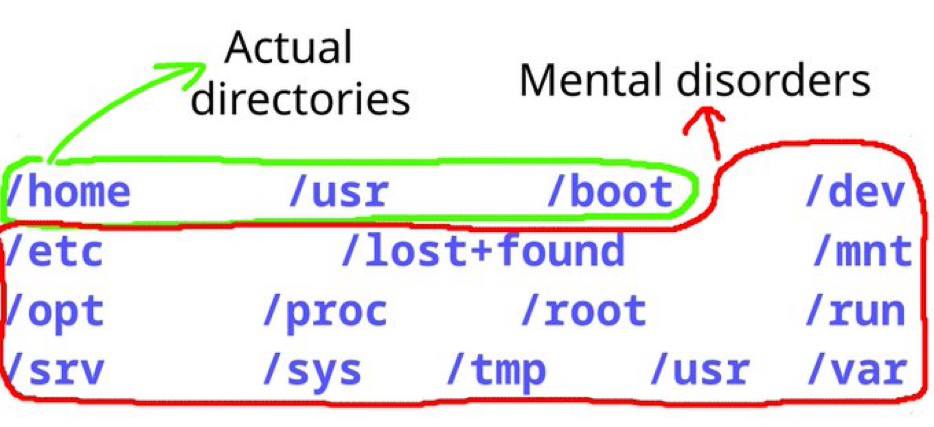 Actual Mental disorders directories home /usx /dev etc /lost+ ounc /mnt opt /proc /root /run /usr /var /sys /tmp