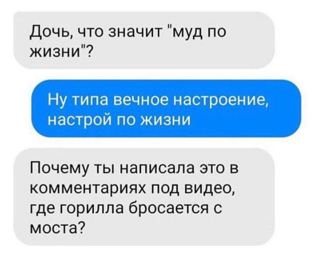 Дочь, что значит "муд по жизни"? Ну типа вечное настроение, настрой по жизни Почему ты написала это в комментариях под видео, где горилла бросается с моста?