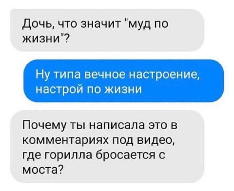 Дочь, что значит "муд по жизни"? Ну типа вечное настроение, настрой по жизни Почему ты написала это в комментариях под видео, где горилла бросается с моста?
