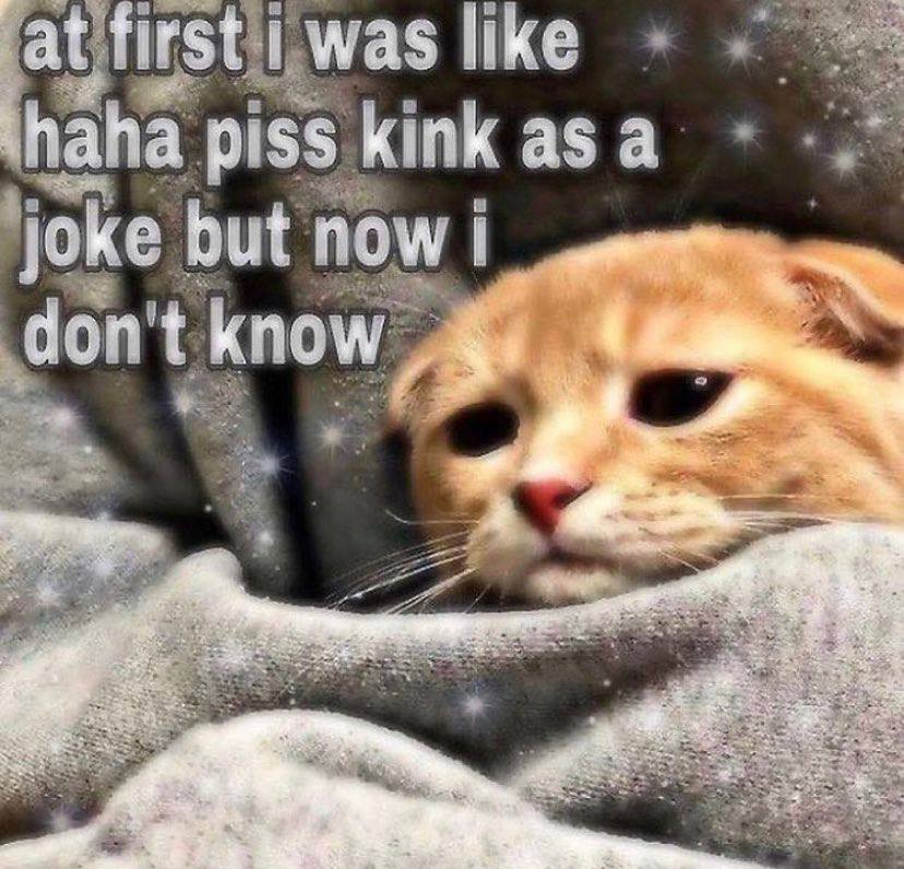 а like haha kink asa piss ioke but no don't know