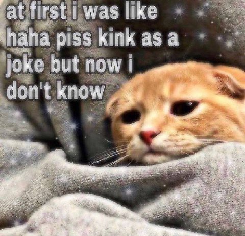 а like haha kink asa piss ioke but no don't know