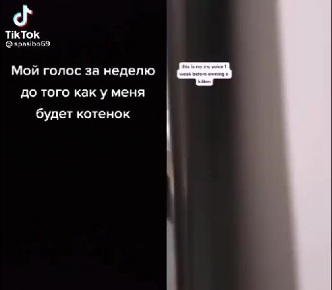 я не люблю видосы с животными кстати
