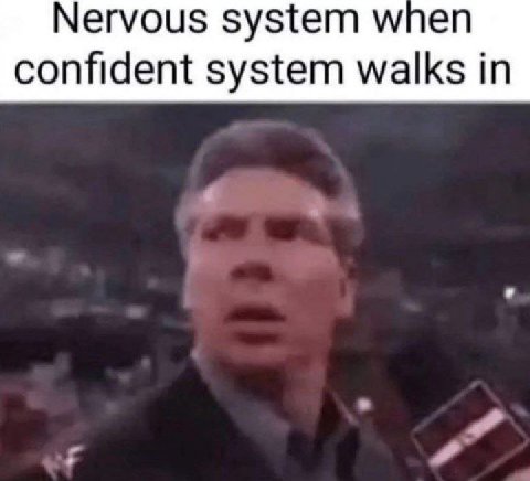 Nervous system м/пеп confident system walks in