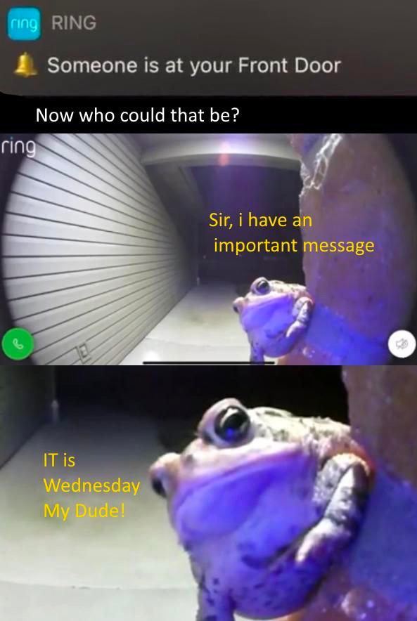 FING Someone is at your Front Door Now who could that be? ring Sir, i have an important message IT is Wednesday My
