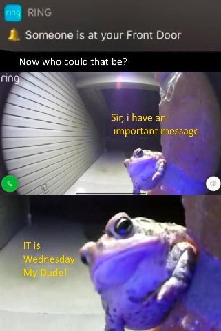 FING Someone is at your Front Door Now who could that be? ring Sir, i have an important message IT is Wednesday My