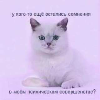 у кого-то еще остались сомнения 4 в моём психическом совершенстве?