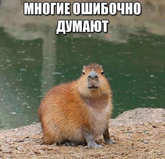 МНОГИЕ ОШИБОЧНО ДУМАЮТ 2