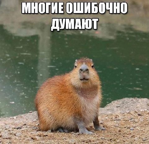 МНОГИЕ ОШИБОЧНО ДУМАЮТ 2