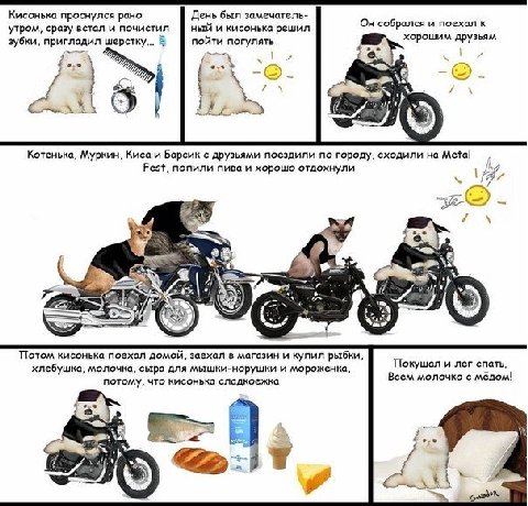 напоминаю