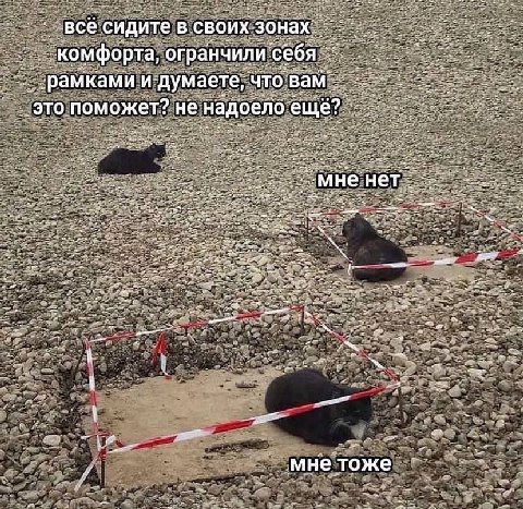 всё сидите в своих зонах комфорта, огранчили себя ‘рамками и думаете, что это поможет? не надоело ещё? HET i 7 мне тоже
