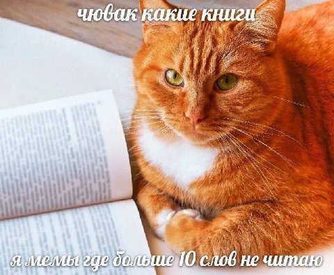 книги= 4 if i 0 He читаю