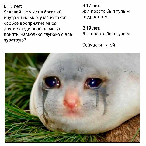 В 15 лет: В 17 лет: Я: какой же у меня богатый Я: я просто был тупым внутренний мир, у меня такое подростком особое восприятие мира, другие люди вообще могут В 19 лет: понять, насколько глубоко я все 