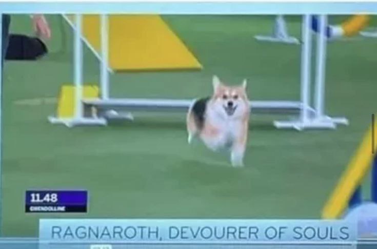 11.48 RAGNAROTH, DEVOURER