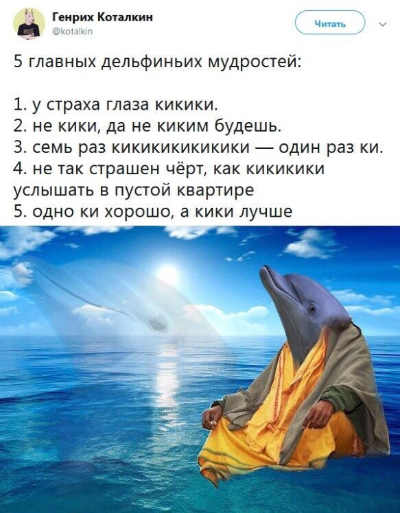 Генрих Коталкин Читать @kotalkin 5 главных дельфиньих мудростей: 1. у страха глаза кикики. 2. не кики, да не киким будешь. 3. семь раз кикикикикикики один раз 4. не так страшен чёрт, как кикикики услы