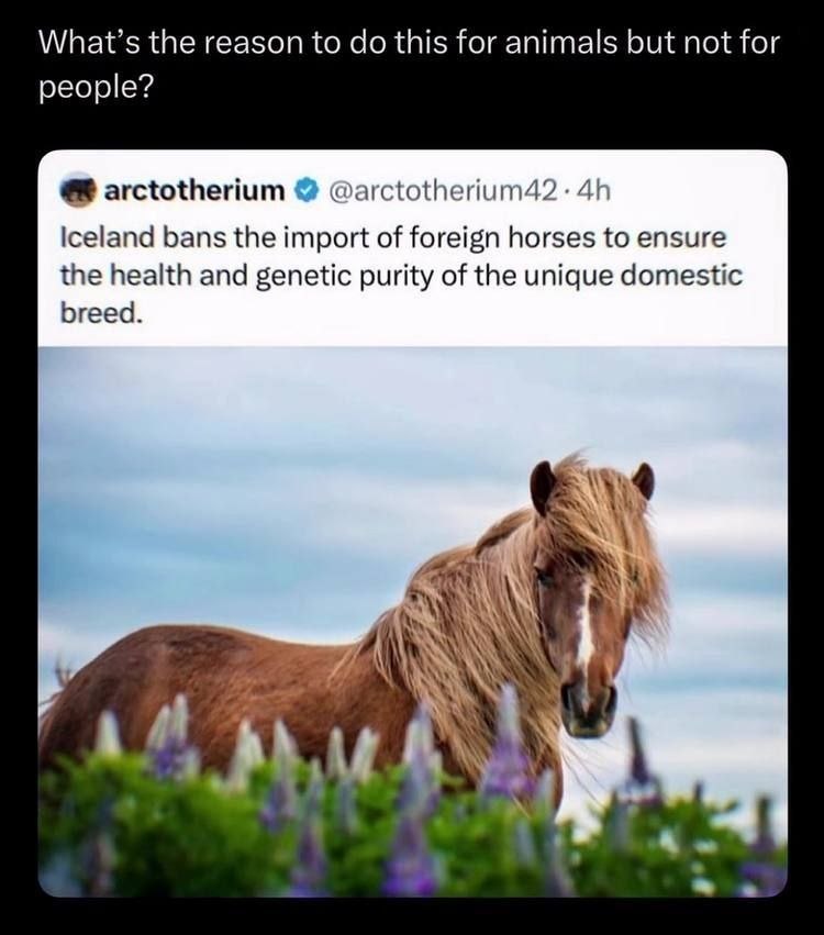 What’s the reason to this for animals but not for people? arctotherium Iceland bans the import of foreign horses to ensure the health and genetic purity of the unique domestic breed.