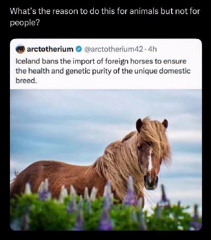 What’s the reason to this for animals but not for people? arctotherium Iceland bans the import of foreign horses to ensure the health and genetic purity of the unique domestic breed.