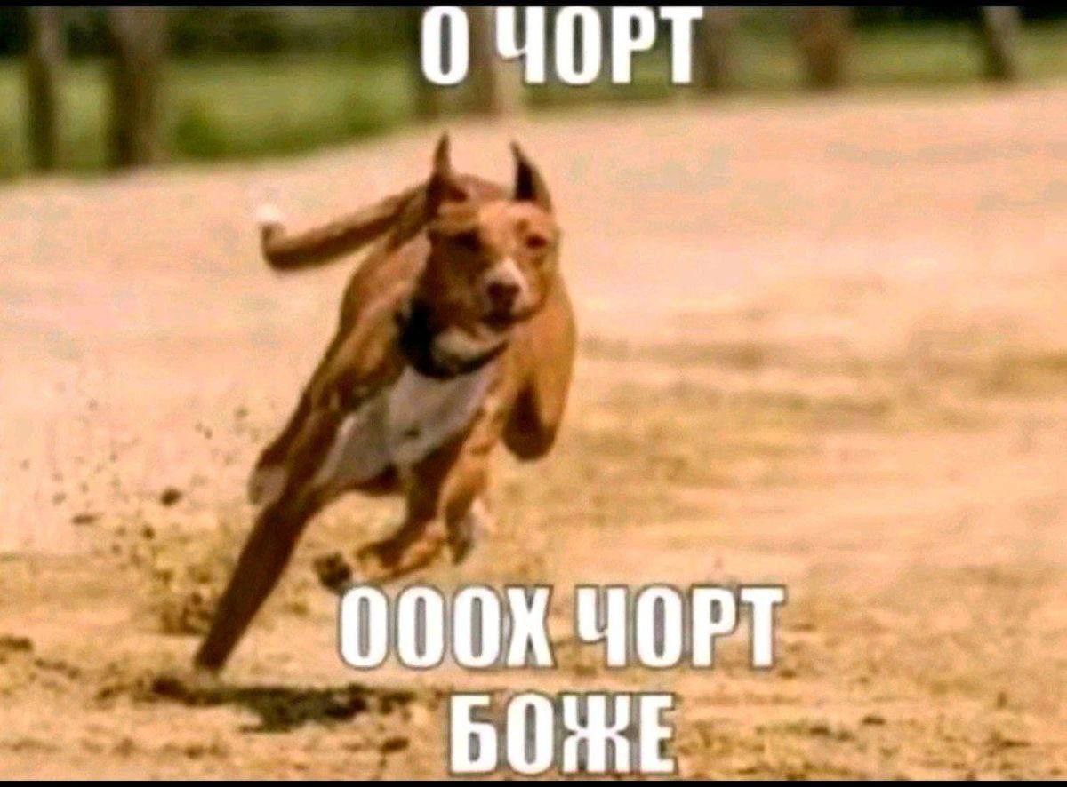 bOm