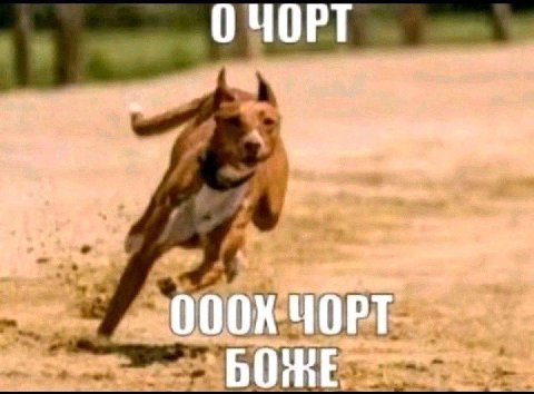 bOm