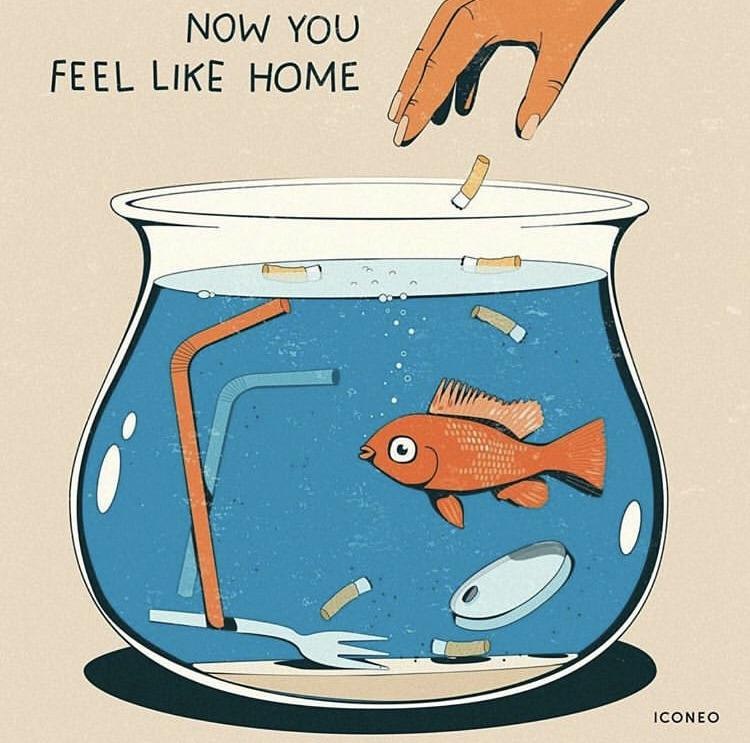 NOW YOU FEEL LIKE HOME ICONEO