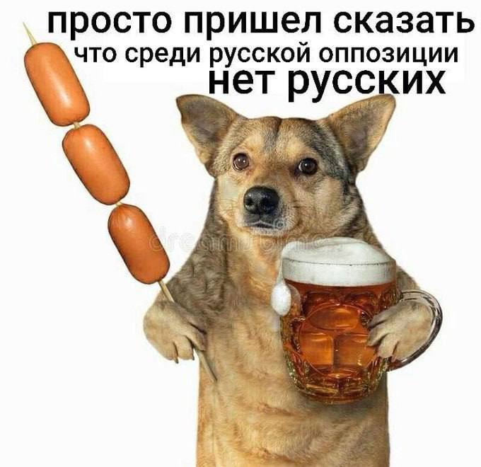 просто пришел сказать что среди русской оппозиции нет русских у