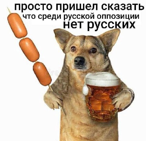 просто пришел сказать что среди русской оппозиции нет русских у